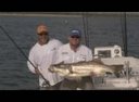 Man Handlin Snookin! CHEW ON THIS big Snook.