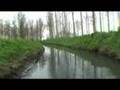 aerial videography