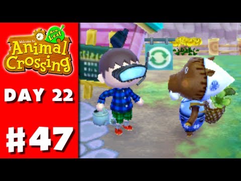 how to grow a turnip in animal crossing ds