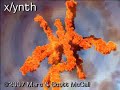 Xynth