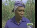 Mujeres campesinas de la cooperativa cañera cubana 