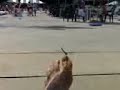 07-07-06_1445.3gp 07-07-06_1445.3gp