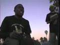 negusworld/krumpkings