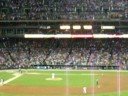 Tigers Loosing