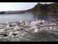 Wildflower Triathlon