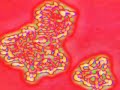 God & the Origin of Life 1. Life Came From Other Planets. The Myth of the Organic Soup