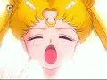Sailor Moon BunnyMamoru