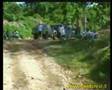 RainForest 2004 parte 5 == Su4x4.com==
