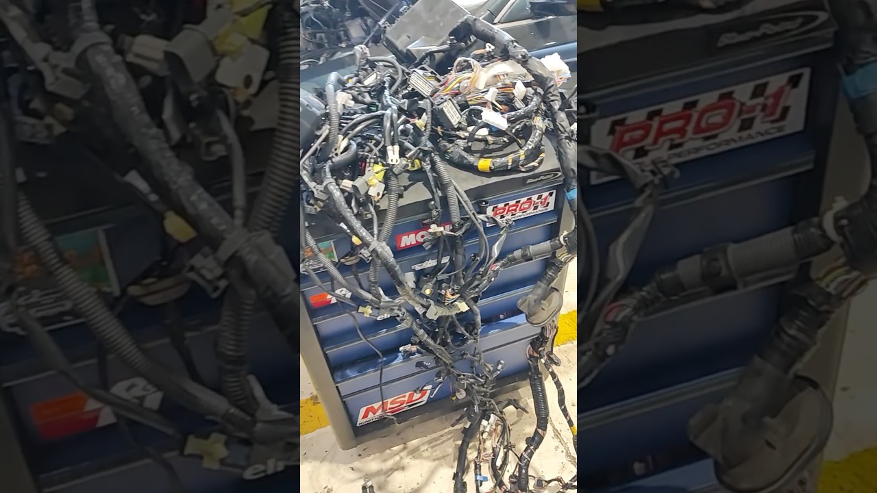 Esse tá fácil 🔥☠️