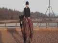 me and cheeko