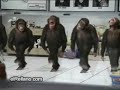 monky dancing