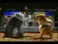 videos de Goyang Maut.3gp
