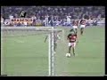 Renato Gaucho, Flamengo 3x2 Atletico Mineiro, 1987