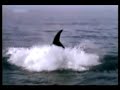 Dias de amar: Guardabarranco - YouTube