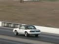 5.0 Mustang Drag Race
