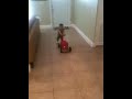Julian's first accident