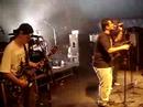 Dias de Truta - Papa Noé Dias de Truta - Papa Noé