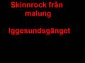 skinnrock från malung