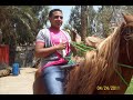 حاتم فهمي -مفيش حاجه