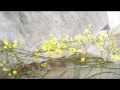 venneda.wmv
