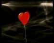 VOGLIAMO ANCHE LE ROSE trailer