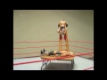Click here to watch this video Wfigs: Animania X- Daniel Bryan's Sunset Flip Powerbomb