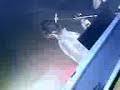 Chromeo- FancyFootwork (live) Sydney Becks Bar.