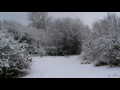 Wildlife Files December 22nd 2009