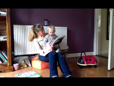 horses grand national