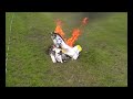 Top Flite Giant P-51 F-51 burning Top Flite Giant P-51 F-51 burning
