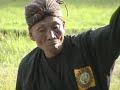 Bali bull races martial arts ceremony ASEAN Indonesia Bali bull races martial arts ceremony ASEAN Indonesia