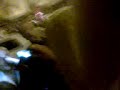 SessiOn Reagga ragga hip hop au MaillOl 2