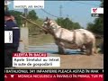 Inundatii Saucesti, judetul Bacau