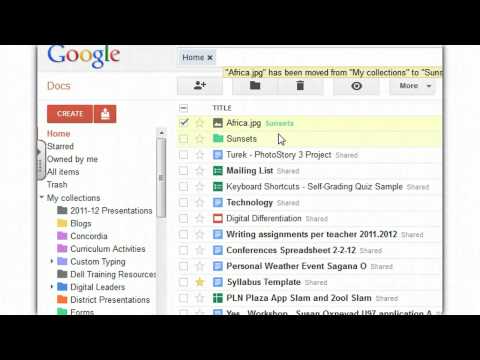 how to organize google photos