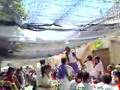 Fiestas de Tudela 2007