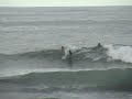 vid�o surf martinique : les videos Surf