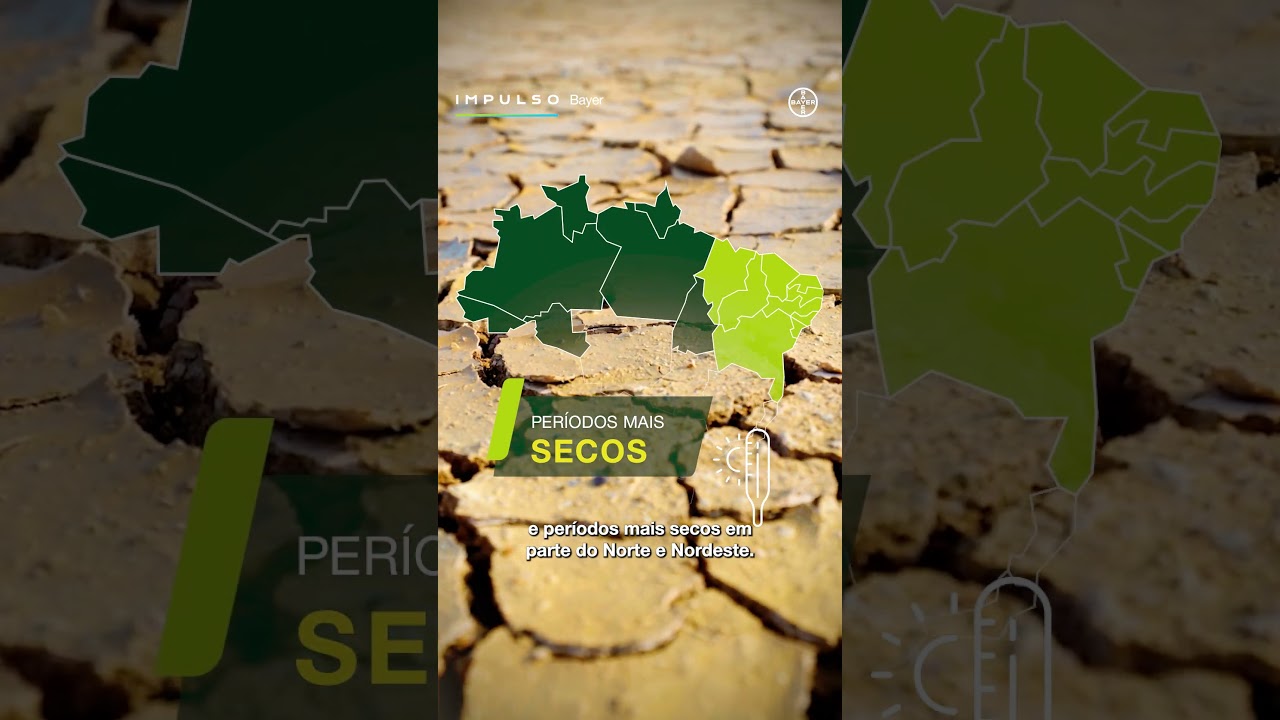 El Niño acende o alerta para a safra brasileira | Impulso Minuto