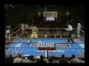 Gerald McClellan Highlight by Iceveins