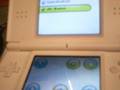 I need help in animal crossing wild world action replay ds!!