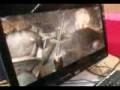 videos de Resident Evil 4 no Carrefour