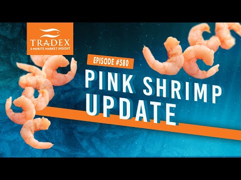 3MMI - Pink Shrimp: Another 40 Million Predicted for 2022 Oregon, Washington Lands 22 Million