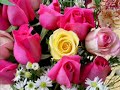 If I-Fiori(Best of Trance Volume I) If I-Fiori(Best of Trance Volume I)