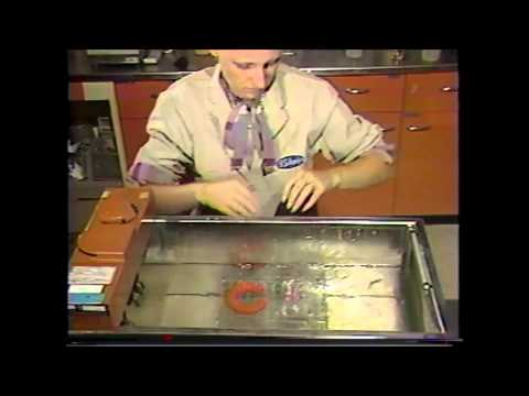 how to isolate e coli from water