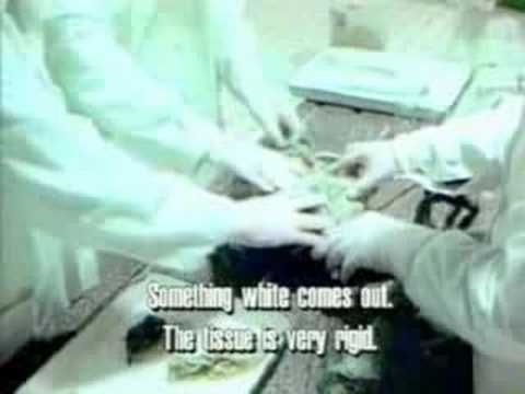 Video'yu oynat Video'yu oynat