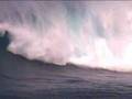 MAUI FEELING CRAZY REAL