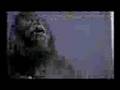 Garilla Video