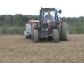 You see, how people seeding in Lithuania. And please, comment this video.