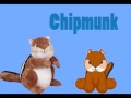 Introducing all of the new Webkinz plush for September 2008.www.youtube.com/plushieplacewww.webkinz.comwww.beanie-babies.ty.comwww.buildabear.comwww.tygirlz.comwww.shiningstars.com