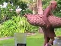 micronesia-ulithi-state-of-yap.html
