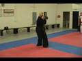 videos de American Kenpo - Long Form #2 (Craig Kuntz)